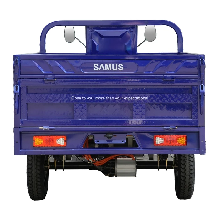 Triciclu electric cargo