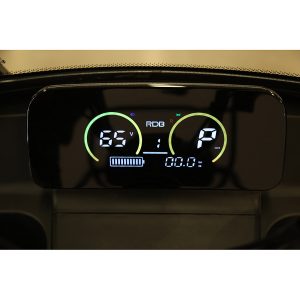 triciclu electric RDB PANDA5